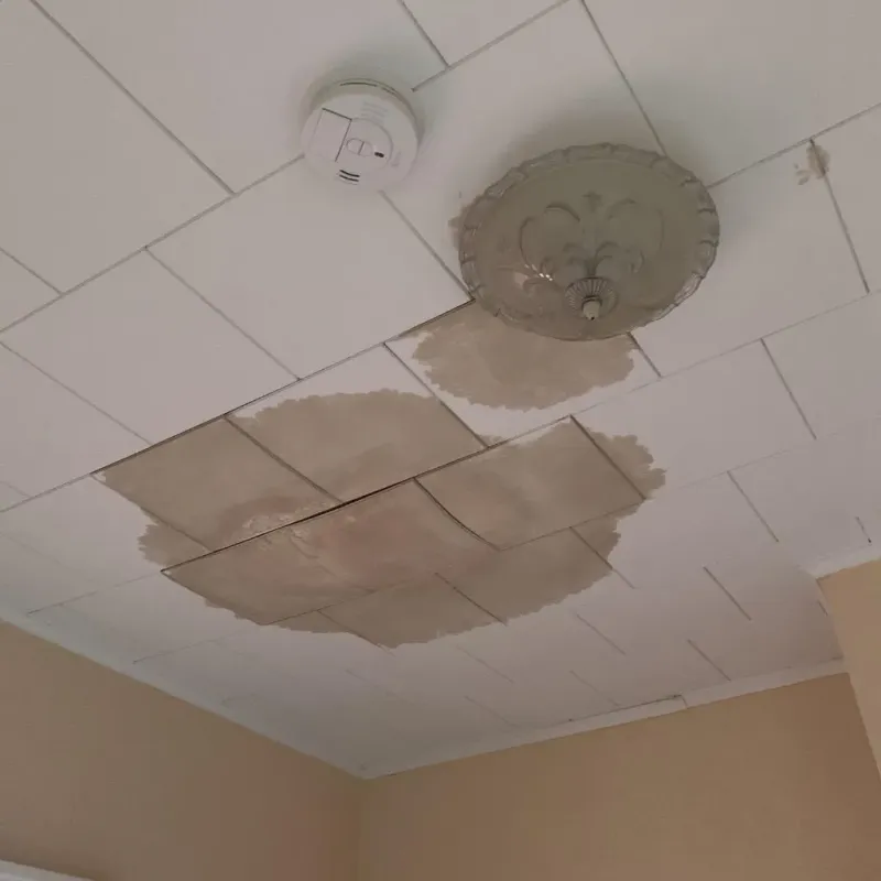 Ceiling Water Damage Repair in Goliad County, TX